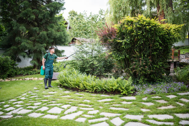 Best Pest Removal Services  in Cisco, TX