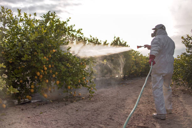 Best Local Pest Control Services  in Cisco, TX