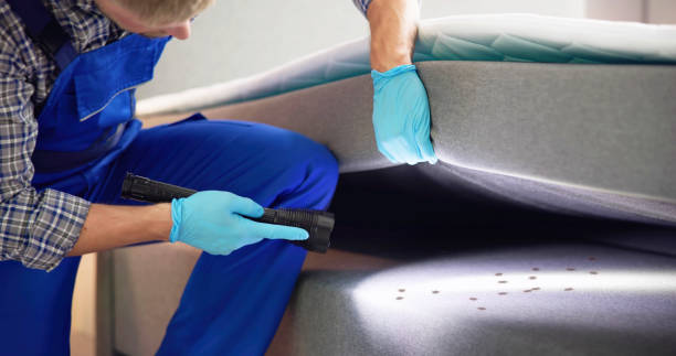 Best Pest Control for Homes  in Cisco, TX