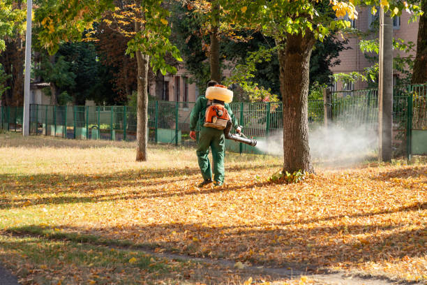 Best Mosquito Control Services  in Cisco, TX