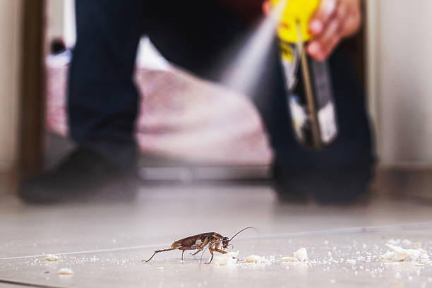 Best Emergency Pest Control  in Cisco, TX