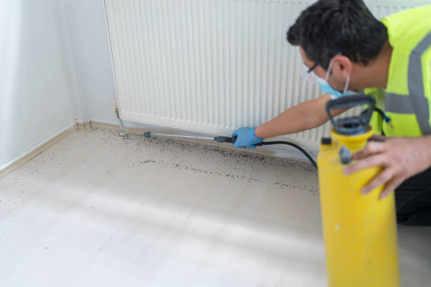 Best Exterminator Services  in Cisco, TX