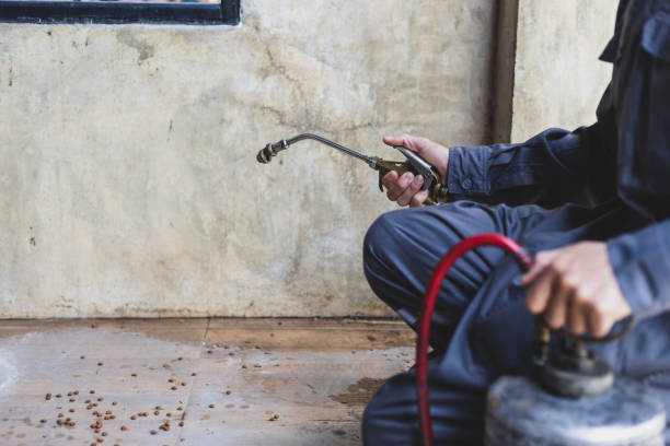 Best Exterminator Services  in Cisco, TX